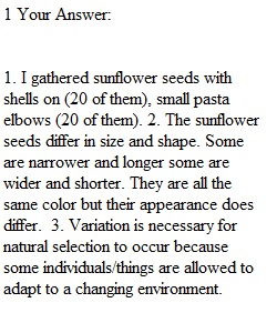 5.10 Lab Exercise